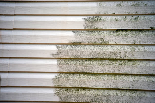 Best James Hardie Siding  in Renton, WA