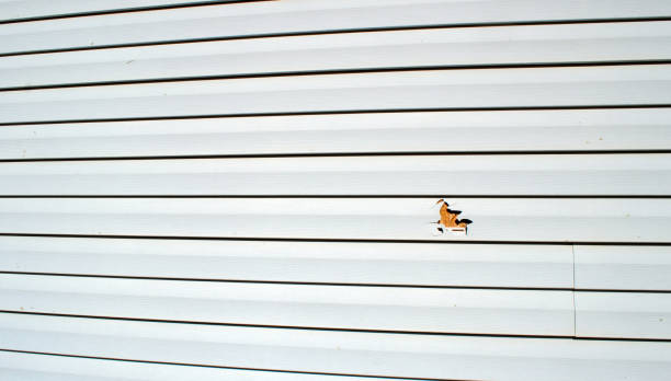 Best Siding Painting and Refinishing  in Renton, WA