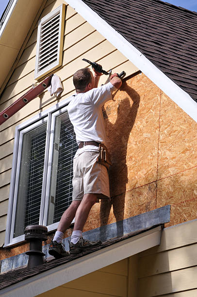 Best Custom Siding Design  in Renton, WA